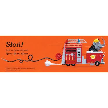 Kto prowadzi? – środek, słoń